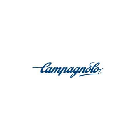 Capteur de puissance Campagnolo